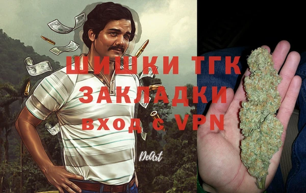хмурый Алексеевка