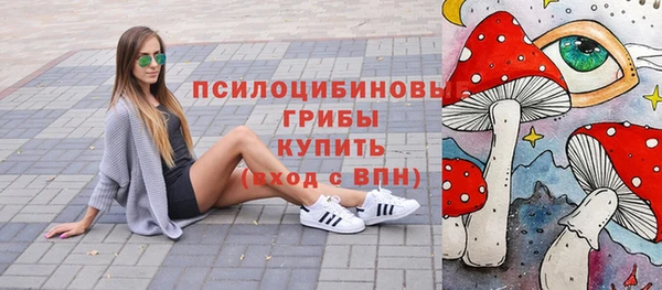 хмурый Алексеевка