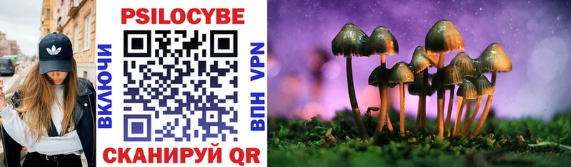 ссылка на мегу сайт  Усинск  Псилоцибиновые грибы Psilocybine cubensis 
